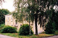 Максутовские березы...