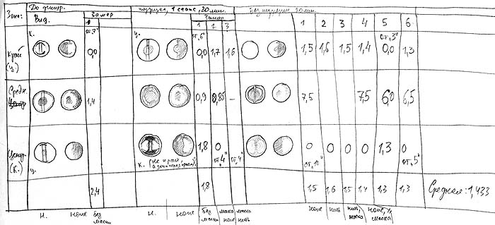 Рабочие записи во время фигуризации зеркала