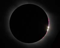 Фото 21. &quotЧетки Бейли&quot